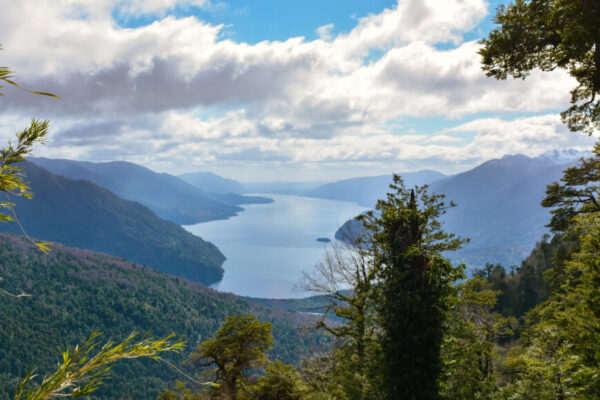 Lago Riñihue _Camila.Molina