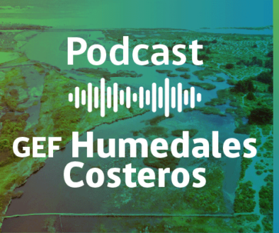 BANNER-Podcast-GEF