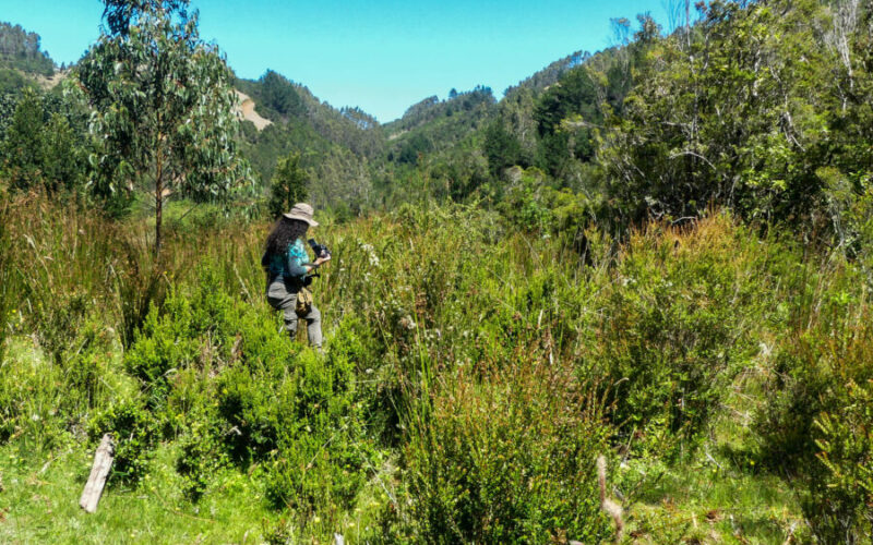 Equipo en terreno